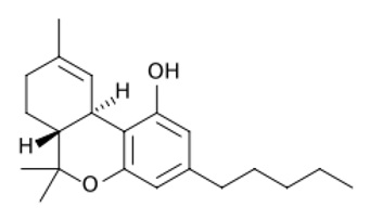 Effect of Cannabis